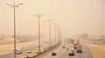 تحديث الأرصاد: درجات حرارة متوقعة وحالة طقس الخميس 11 ديسمبر 2025